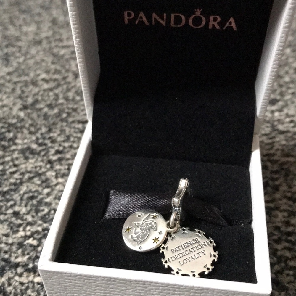 Harry Potter HufflePuff Charm